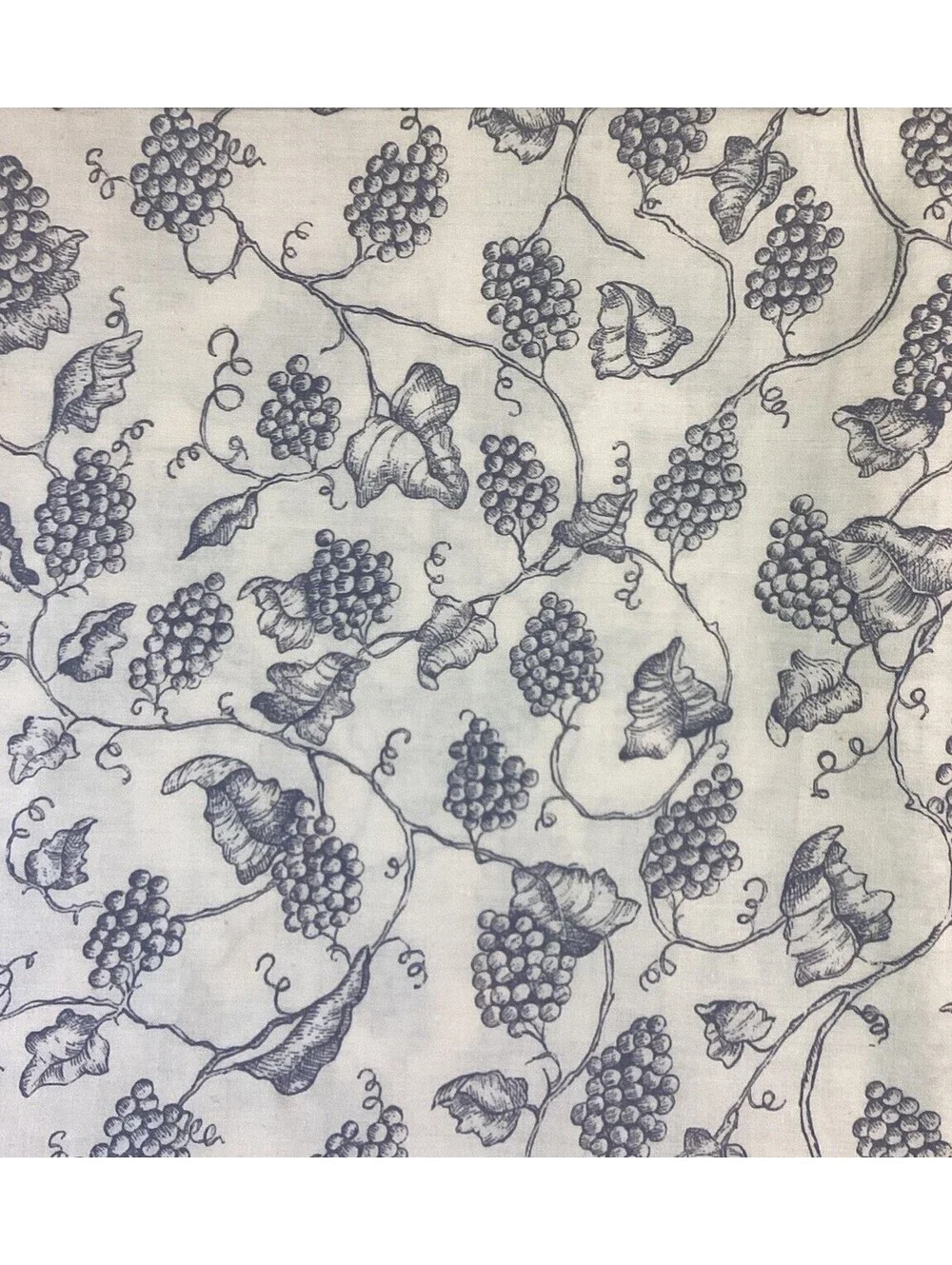One Yard Grape Vines